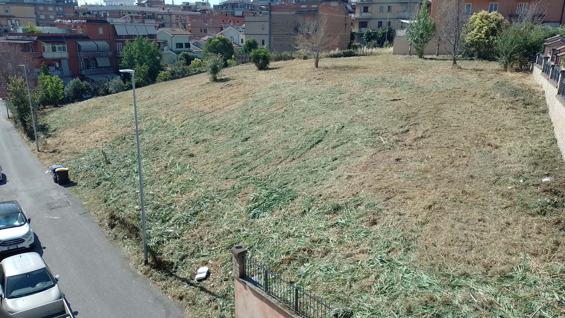 DISSERBO 18/06/2026