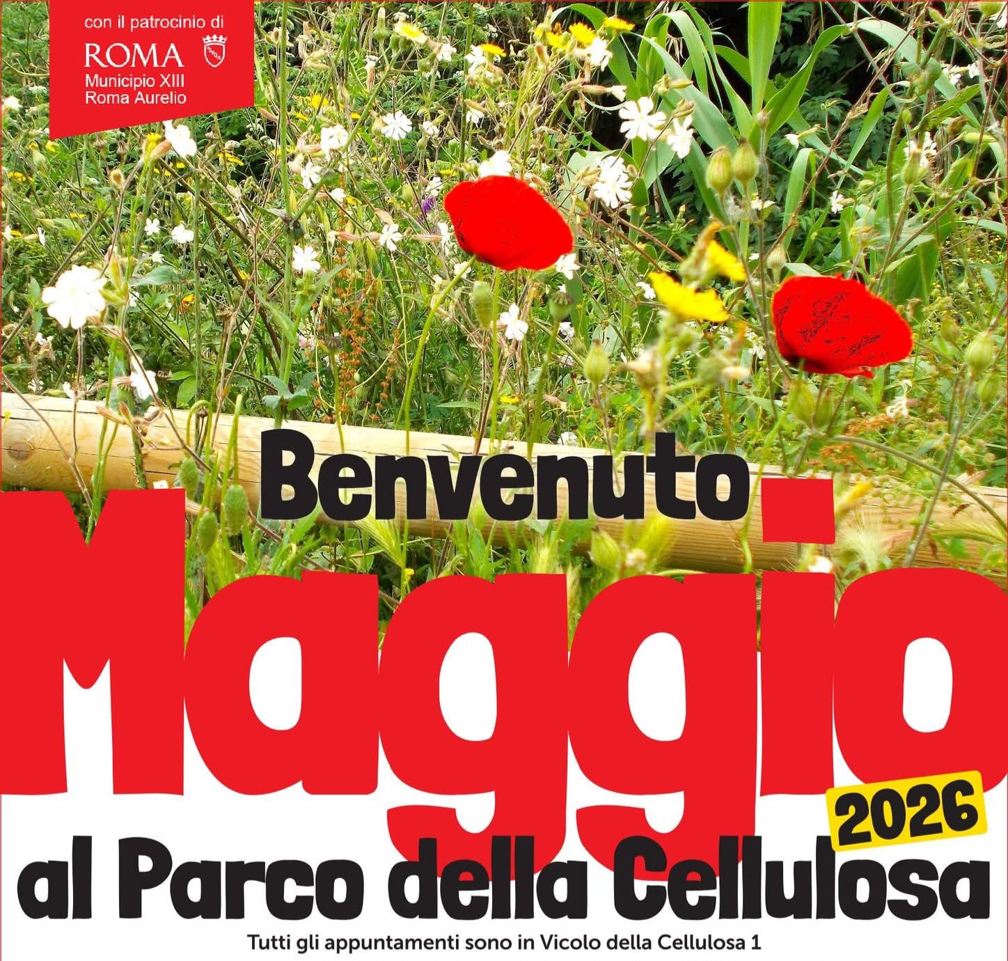 ​🌸 Maggio al Parco della Cellulosa: un mese di eventi per tutti! 🌸